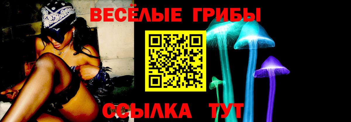 Псилоцибиновые грибы прущие грибы  Галлюциногенные грибы Cubensis  Великий Новгород  Вход с VPN 